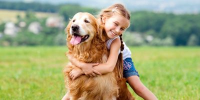 A dog can help your child